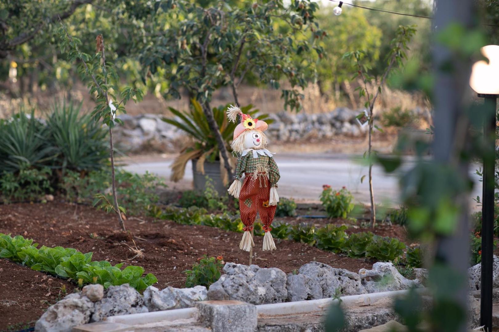 Trulli Arborea Alberobello Buitenkant foto